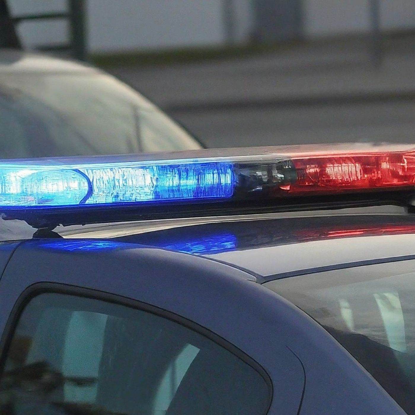 IGPR avertizează asupra unei fraude online cu amenzi false transmise în numele Poliţiei Române